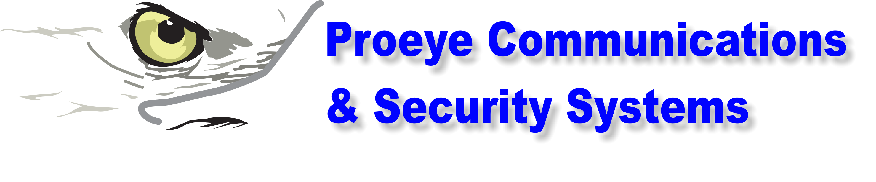 Business Logo