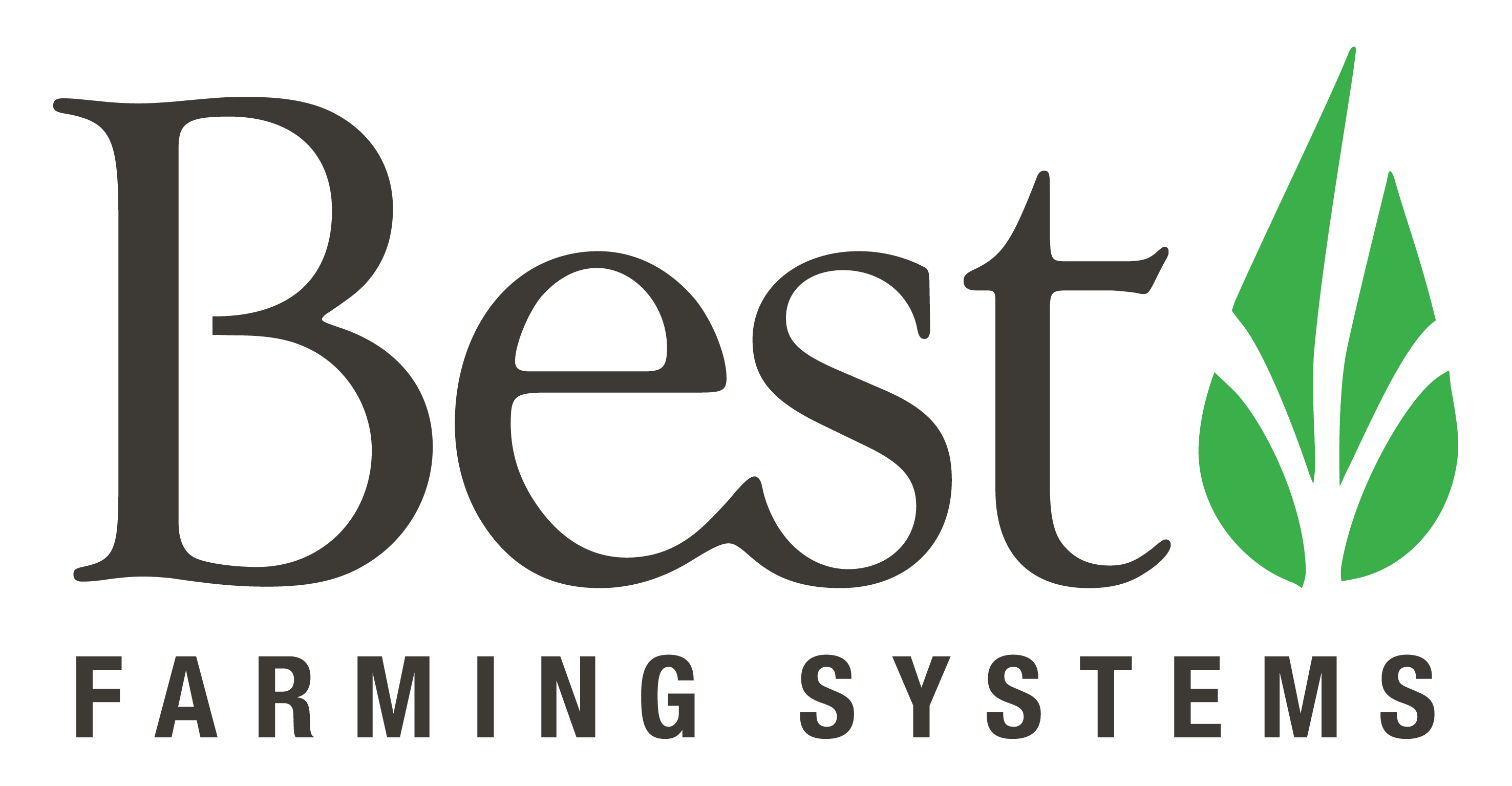 Business Logo